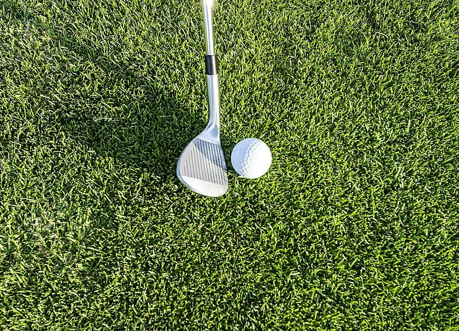 Assortment of golf irons and a driver arranged beside a golf bag
